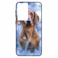 Чехол для Samsung S21 Beautiful dachshund - PrintSalon