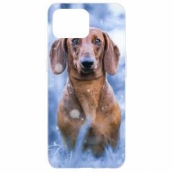 Чехол для Oppo Reno 4 Lite Beautiful dachshund - PrintSalon