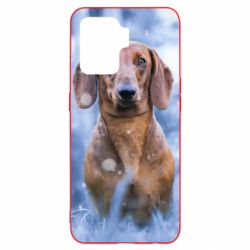 Чехол для Oppo Reno 5 Lite Beautiful dachshund - PrintSalon