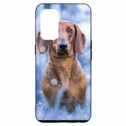 Чехол для Oppo Reno 5 4G Beautiful dachshund - PrintSalon