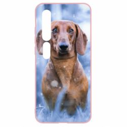 Чехол для Xiaomi Mi10/10 Pro Beautiful dachshund - PrintSalon