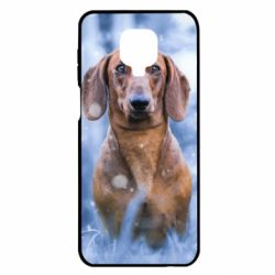 Чехол для Xiaomi Redmi Note 9S/9Pro/9Pro Max Beautiful dachshund - PrintSalon