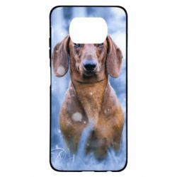 Чехол для Xiaomi Poco X3 Beautiful dachshund - PrintSalon