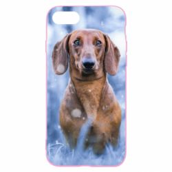 Чехол для iPhone SE 2022 Beautiful dachshund - PrintSalon