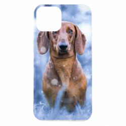 Чехол для iPhone 14 Beautiful dachshund