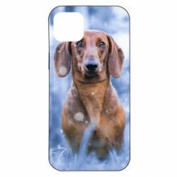 Чехол для iPhone 14 Plus Beautiful dachshund - PrintSalon