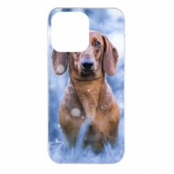 Чехол для iPhone 14 Pro Max Beautiful dachshund - PrintSalon