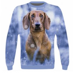 3D свитшот Beautiful dachshund - PrintSalon