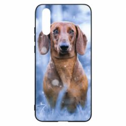 Чехол для Huawei P20 Beautiful dachshund - PrintSalon