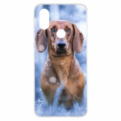 Чехол для Xiaomi Mi A2 Beautiful dachshund - PrintSalon