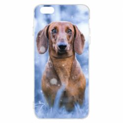 Чехол для iPhone 6 Plus/6S Plus Beautiful dachshund
