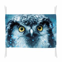 Флаг Big owl - PrintSalon
