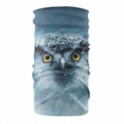 Бандана Big owl - PrintSalon