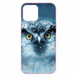 Чехол для iPhone 12 Pro Max Big owl - PrintSalon