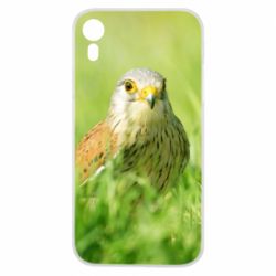 Чохол для iPhone XR Bird and green field - PrintSalon