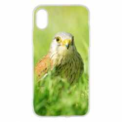 Чохол для iPhone X/Xs Bird and green field - PrintSalon