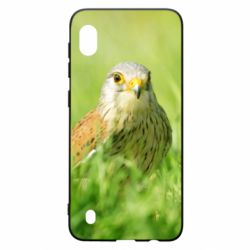 Чохол для Samsung A10 Bird and green field-PrintSalon Чохол для Samsung A10 Bird and green field