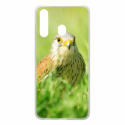 Чохол для Samsung A60 Bird and green field - PrintSalon