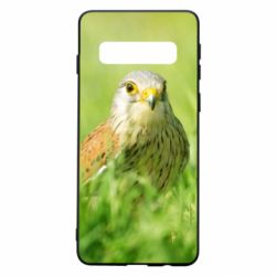 Чохол для Samsung S10 Bird and green field