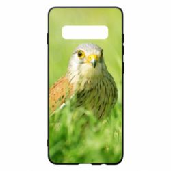 Чохол для Samsung S10+ Bird and green field - PrintSalon