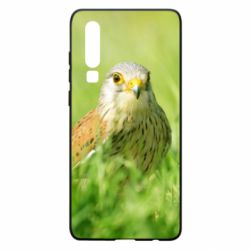Чехол для Huawei P30 Bird and green field