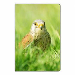 Блокнот з принтом Bird and green field - PrintSalon