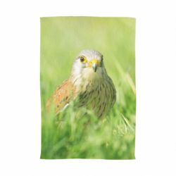 Рушник з принтом Bird and green field - PrintSalon