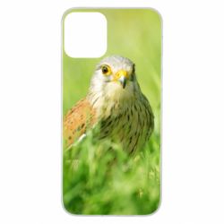 Чохол для iPhone 11 Bird and green field - PrintSalon