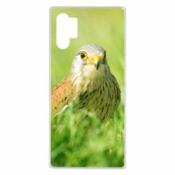 Чохол для Samsung Note 10 Plus Bird and green field - PrintSalon