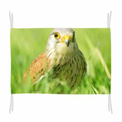 Флаг Bird and green field