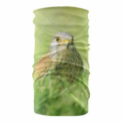 Бандана Bird and green field
