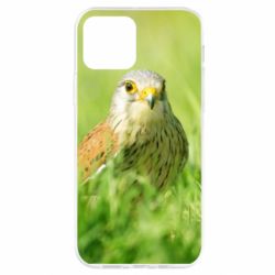 Чохол для iPhone 12 Pro Bird and green field - PrintSalon