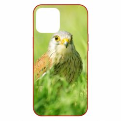 Чохол для iPhone 12 Pro Max Bird and green field - PrintSalon