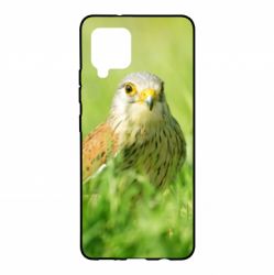 Чохол для Samsung A42 5G Bird and green field - PrintSalon