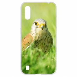 Чохол для Samsung A01 / M01 Bird and green field - PrintSalon