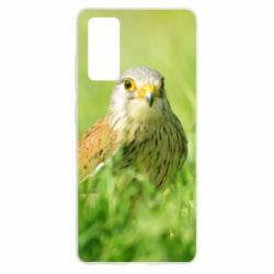 Чохол для Samsung S20 FE Bird and green field - PrintSalon