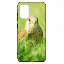 Чохол для Samsung S20+ Bird and green field - PrintSalon