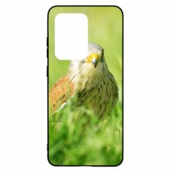 Чохол для Samsung S20 Ultra Bird and green field - PrintSalon