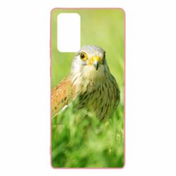 Чохол для Samsung Note 20 Bird and green field - PrintSalon