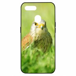Чохол для Oppo A5s / A12Bird and green field - PrintSalon