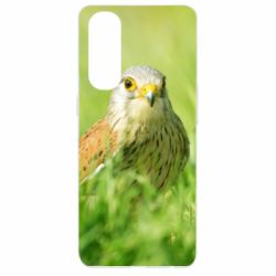Чохол для Oppo Reno 4 Pro Bird and green field - PrintSalon