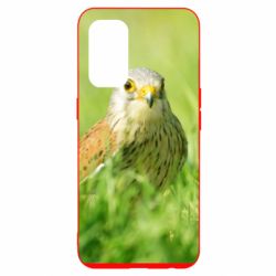 Чохол для Oppo Reno 5 4G Bird and green field-PrintSalon Чохол для Oppo Reno 5 4G Bird and green field