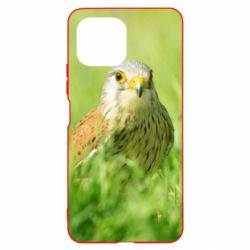 Чохол для Xiaomi Mi11 Lite Bird and green field - PrintSalon