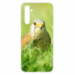 Чохол для Realme 6 Bird and green field - PrintSalon