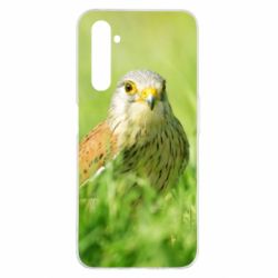 Чохол для Realme 6 Pro Bird and green field - PrintSalon