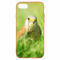 Чохол для iPhone SE 2022 Bird and green field - PrintSalon