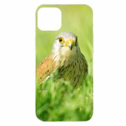 Чохол для iPhone 14 Plus Bird and green field - PrintSalon