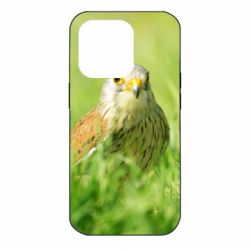 Чохол для iPhone 14 Pro Bird and green field - PrintSalon