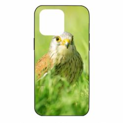 Чохол для iPhone 14 Pro Max Bird and green field - PrintSalon