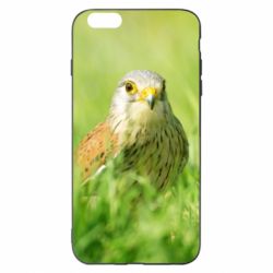 Чехол для iPhone 6 Plus/6S Plus Bird and green field